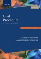 Civil Procedure: a Practical Guide (E-Book)