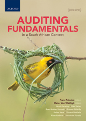 Auditing Fundamentals in a South African Context (E-Book)