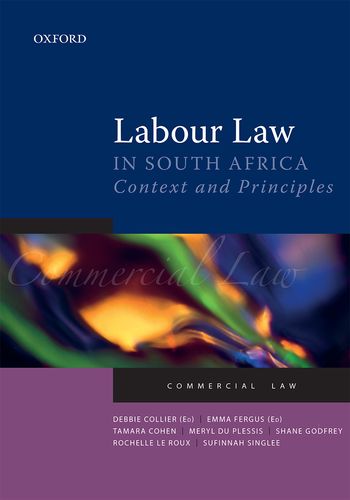 Labour Law in South Africa (E-Book)
