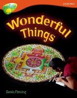 Oxford Reading Tree: Level 13: Treetops Non-Fiction: Wonderful Things