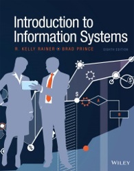 Introduction to Information Systems (E-Book)