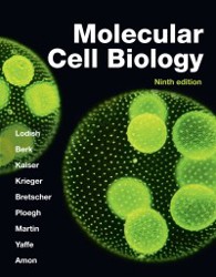 Molecular Cell Biology (E-Book)
