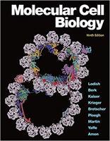 Lodish Molecular Cell Biology 9e Achieve Instant Digital Access Code  (E-Book)