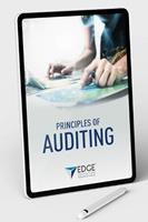 Principles of Auditing  (E-Book)