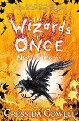 The Wizards of Once Never and Forever B4