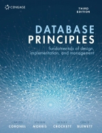 Database Principles (E-Book)