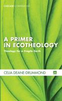 A Primer in Ecotheology: Theology for a Fragile Earth
