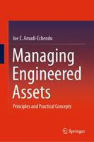 Managing Engineered Assets : Principles and Practical Concepts