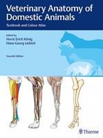 Veterinary Anatomy of Domestic Animals